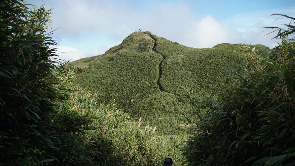 陽明山》七星山主峰路線及登山口整理,小油坑、冷水坑登山步道 - 第9張圖 陽明山》七星山主峰路線及登山口整理,小油坑、冷水坑登山步道