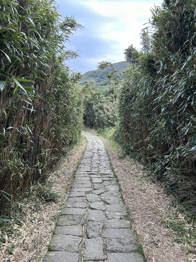 陽明山》七星山主峰路線及登山口整理,小油坑、冷水坑登山步道 - 第10張圖 陽明山》七星山主峰路線及登山口整理,小油坑、冷水坑登山步道