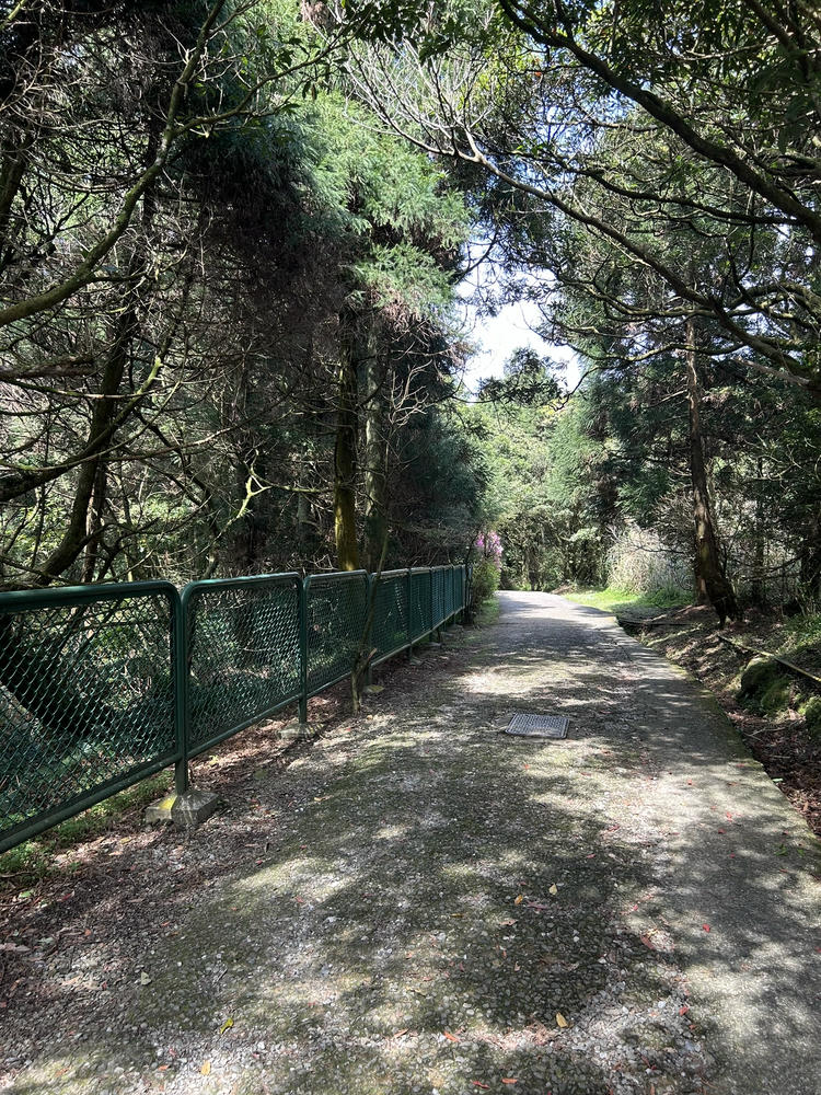 陽明山》七星山主峰路線及登山口整理,小油坑、冷水坑登山步道 - 第4張圖 夢幻湖旁的步道,大多時候都沒什麼人
