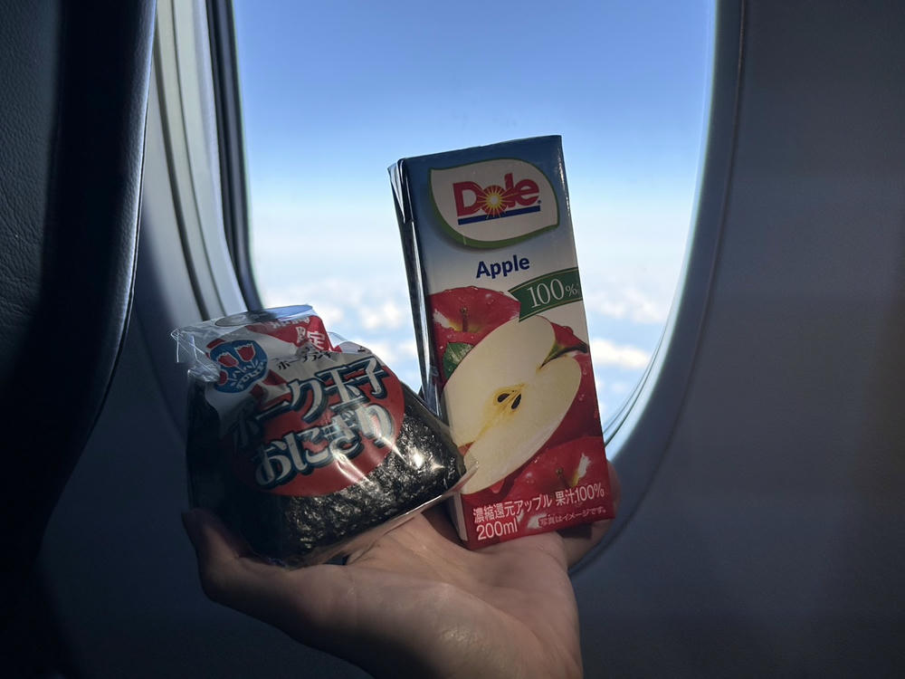 日本旅遊》日本越洋航空是廉航嗎?行李規定、評價為何?如何選位? - 第1張圖 JTA 日本越洋航空飛機餐