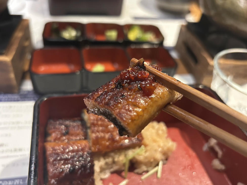 eel