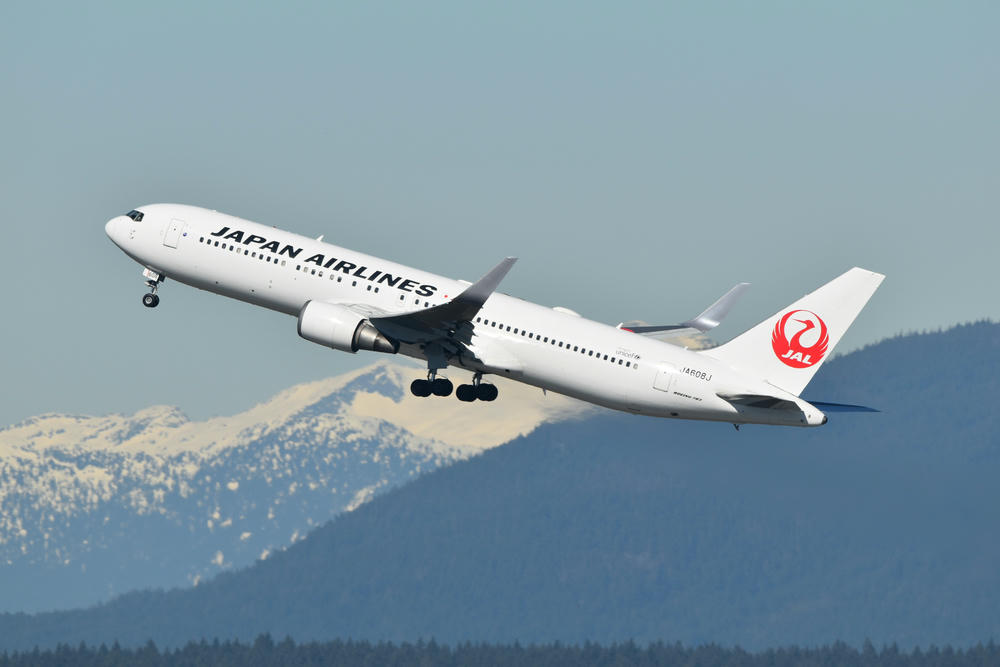 JAL Plane